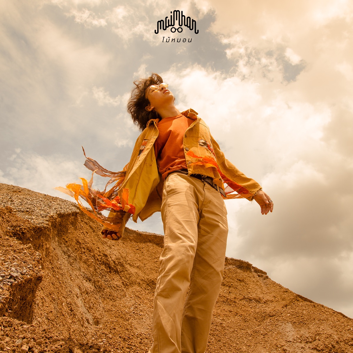 หลุด - Single by Maimhon album cover
