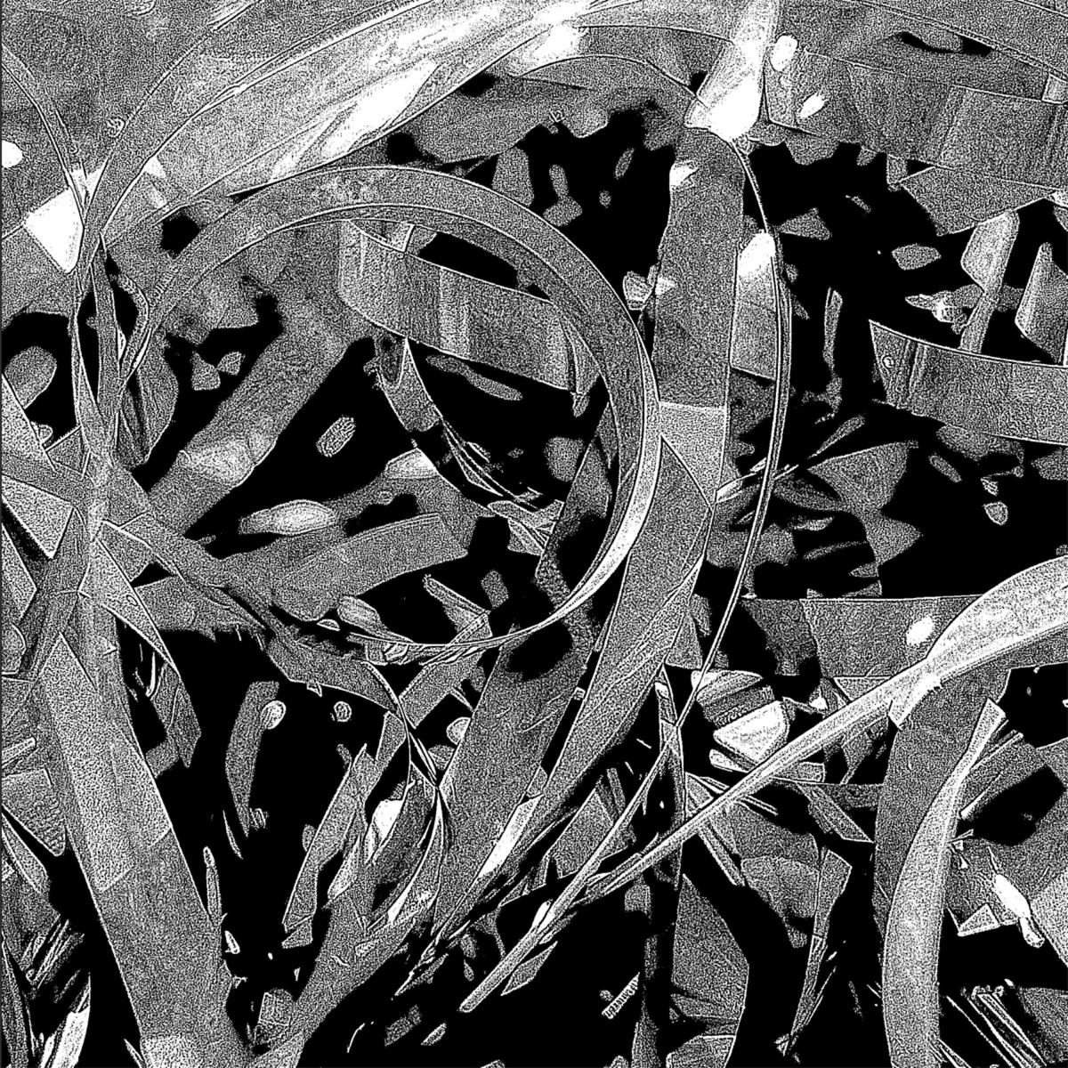 Dismantle by Morphosis album cover