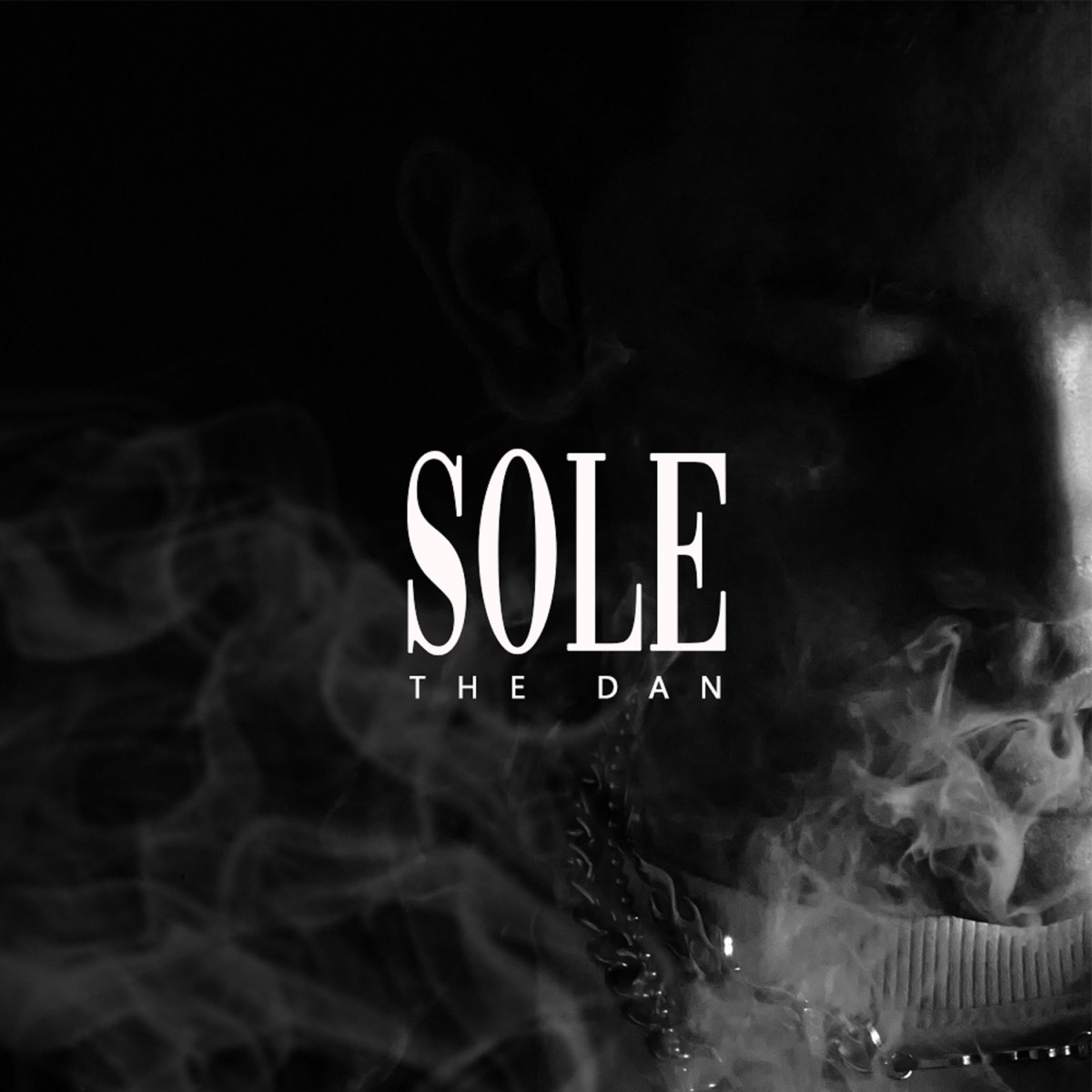 SOLE (Beat) by DANNY FLAME album cover