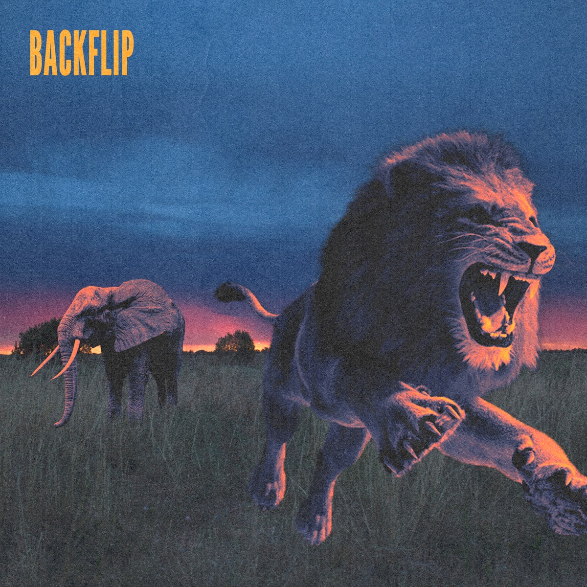Backflip - Single by Yuebae & OhLeon! album cover