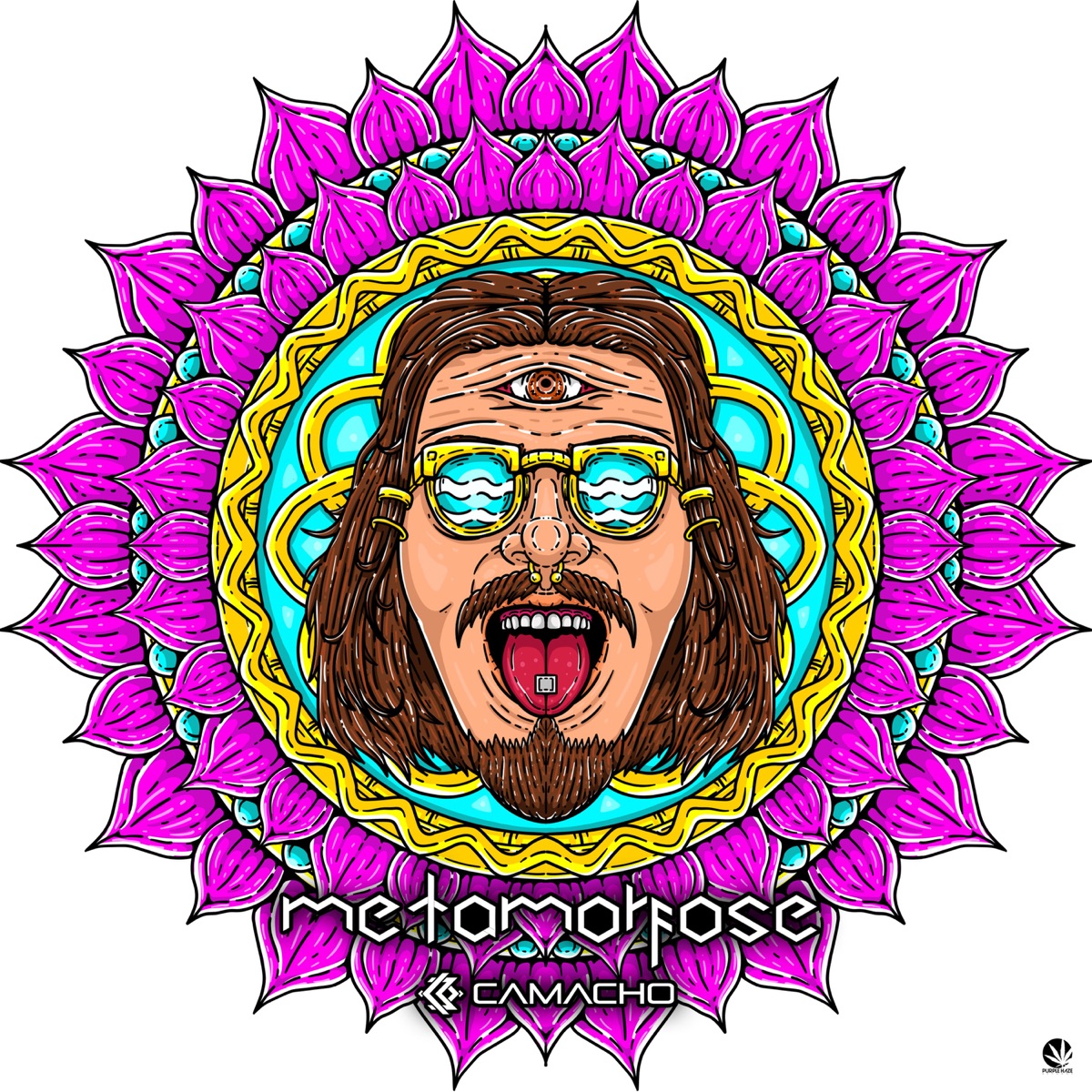 Metamorfose by Henrique Camacho album cover