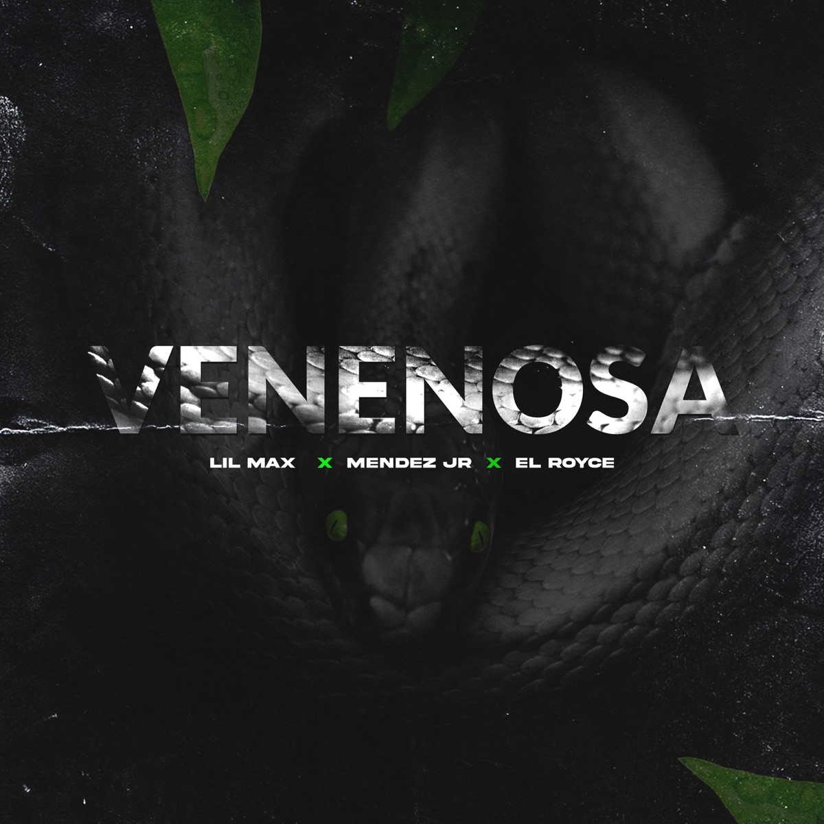 Venenosa - Single by Lil Max, Mendez Jr & El Royce album cover