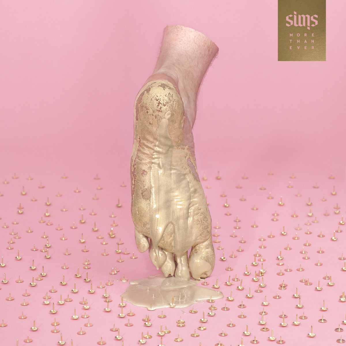 More Than Ever by Sims album cover