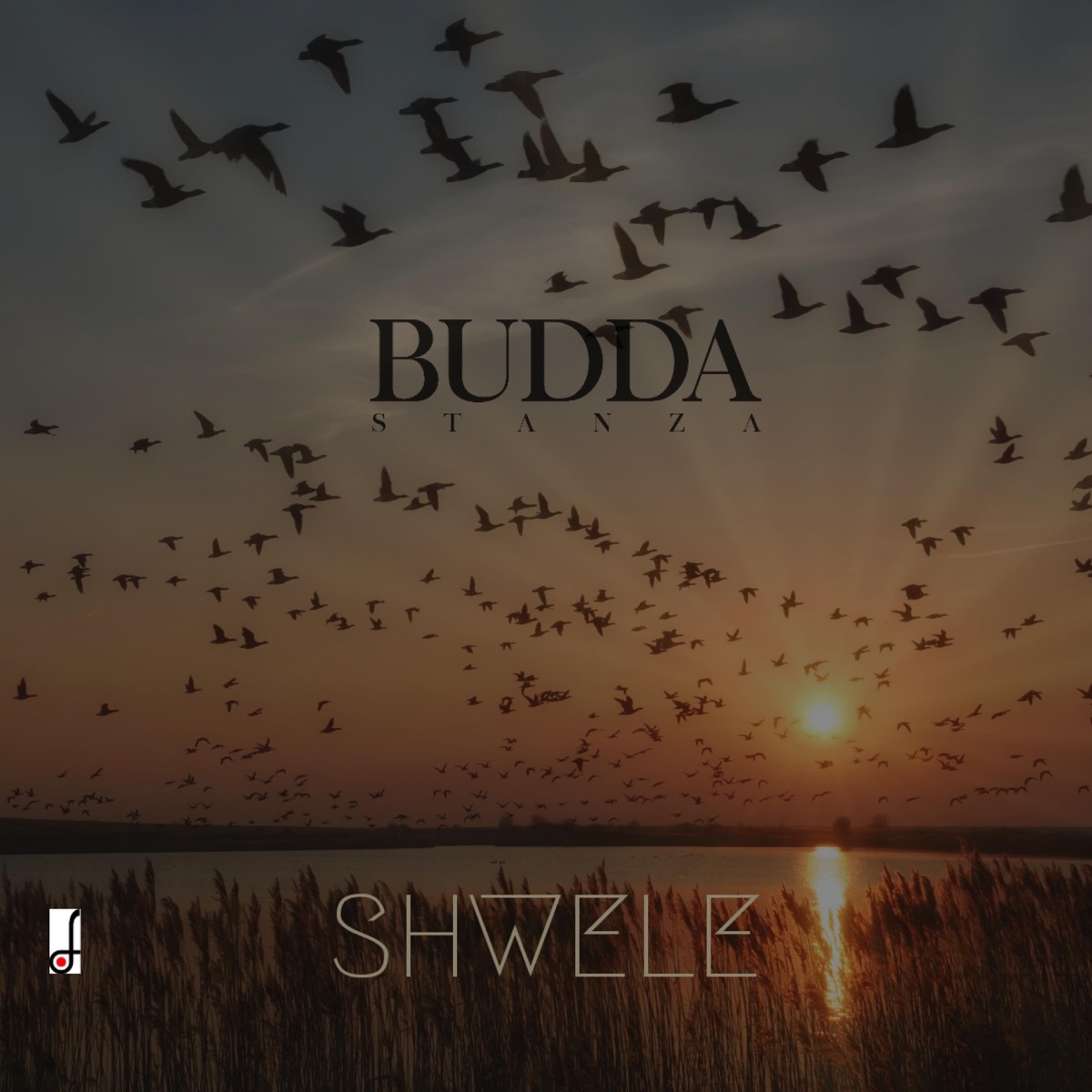 Shwele (Full Cut) - Single by Budda Stanza album cover