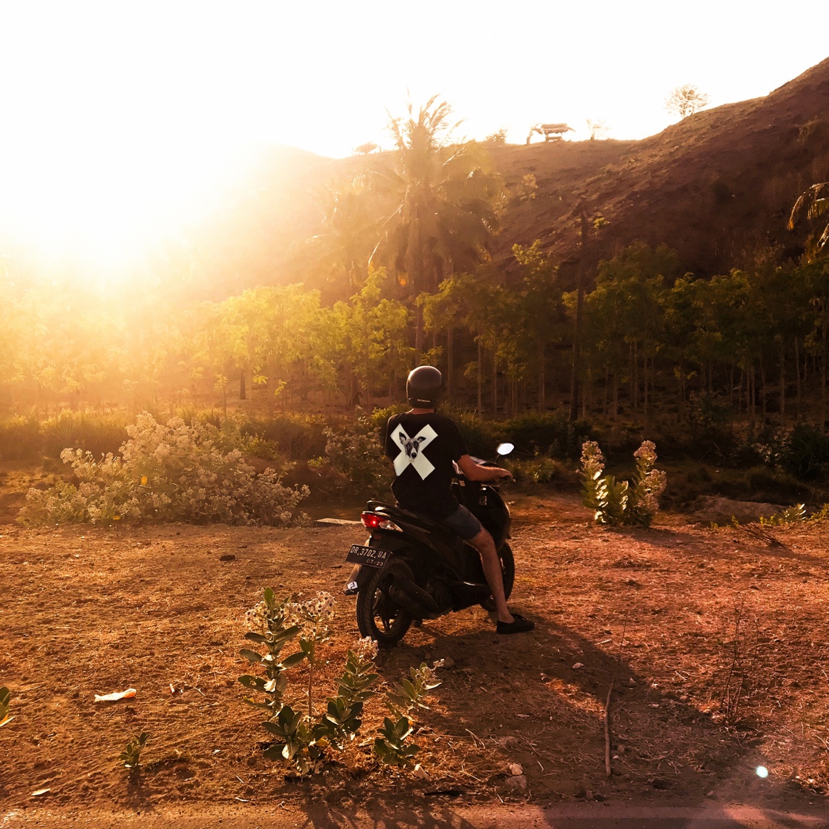 A Collection of Xinobi Dance Songs by Xinobi album cover