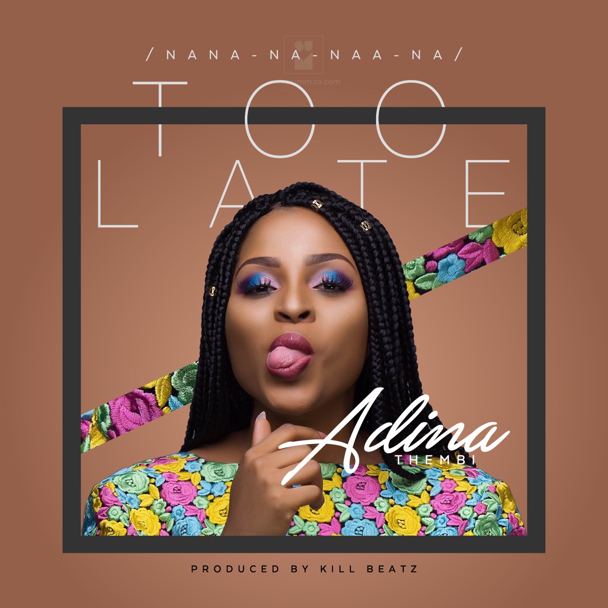 Too Late - Single by Adina Thembi album cover
