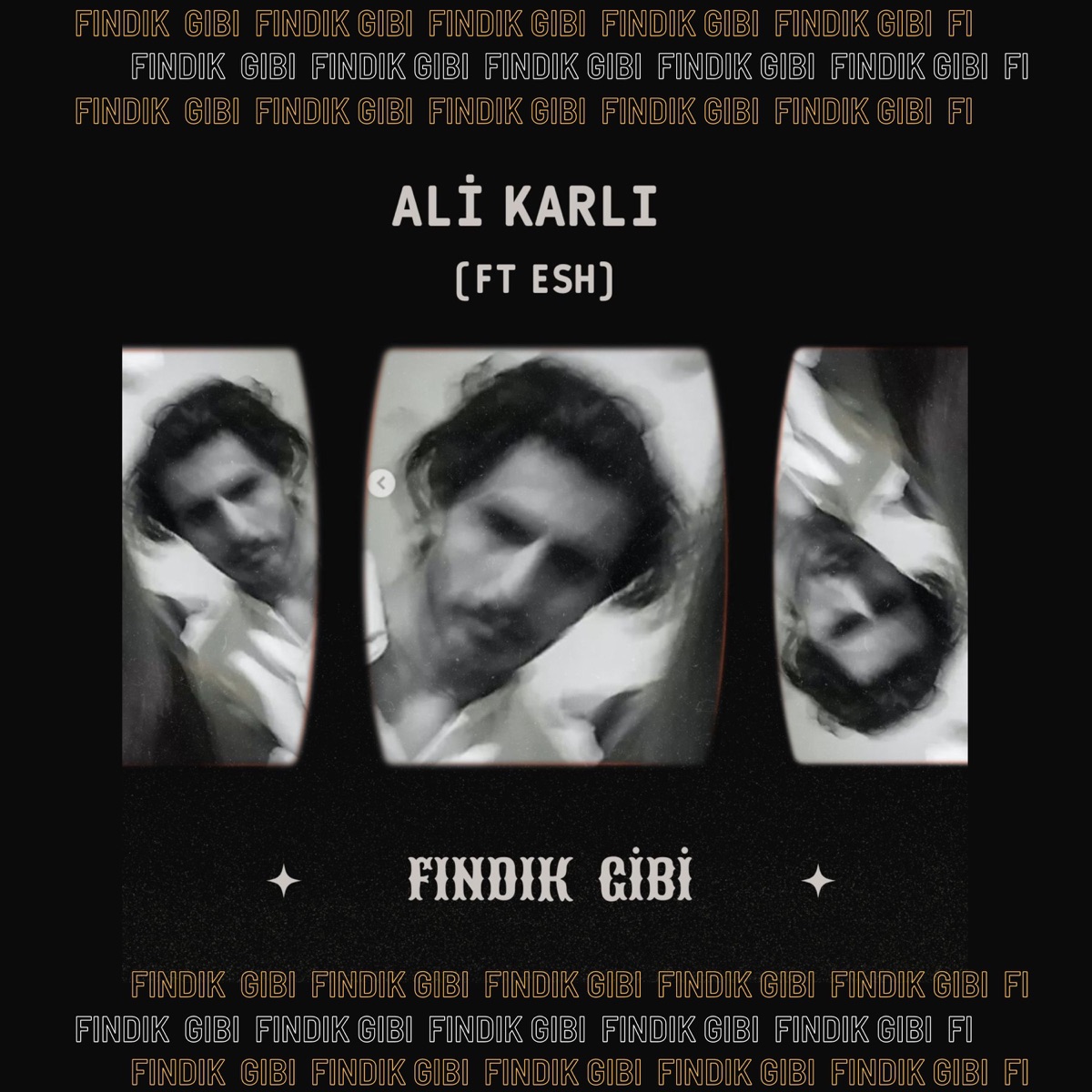 Fındık Gibi - Single by Ali Karlı album cover