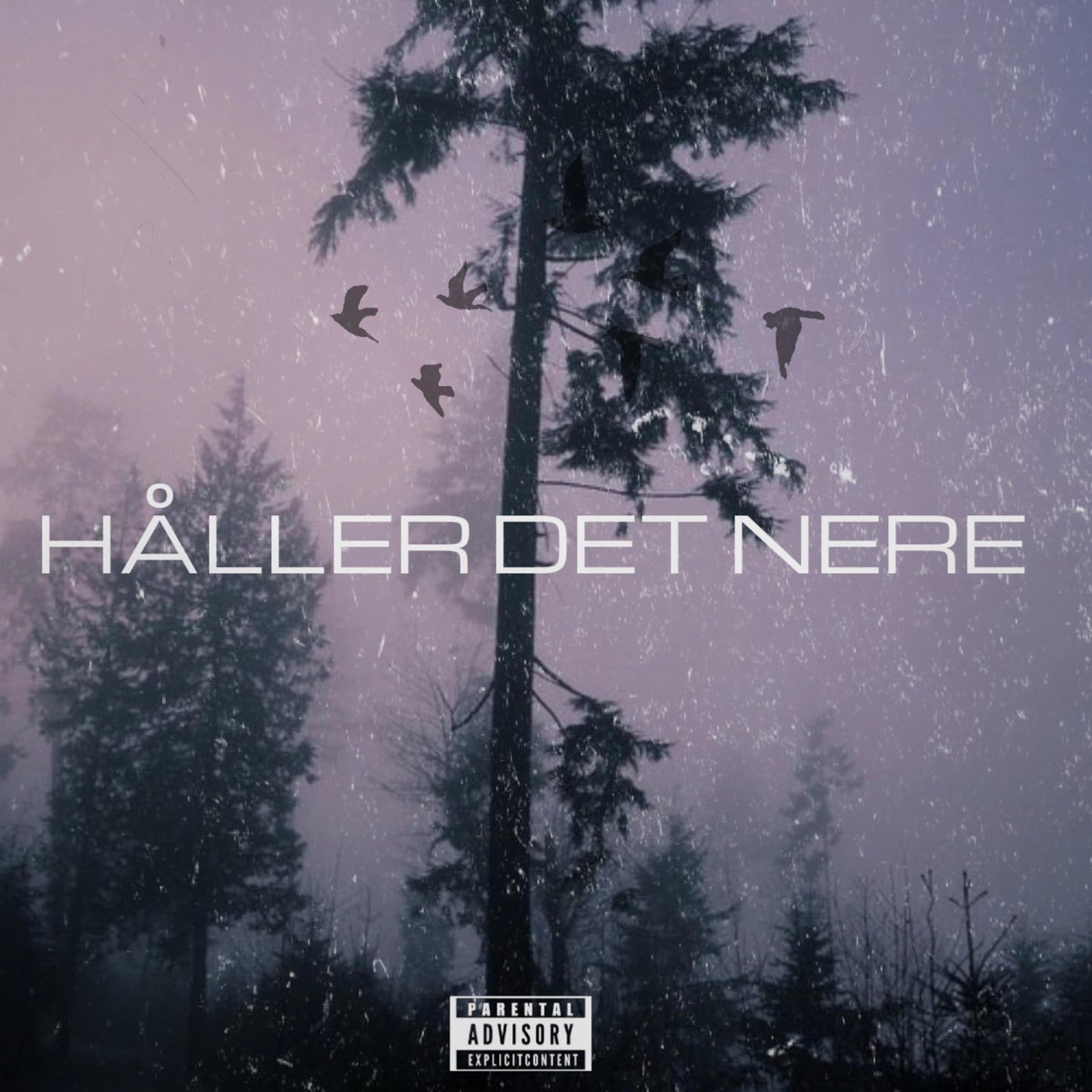 Håller det nere (feat. C-VE) - Single by Anders Mac album cover