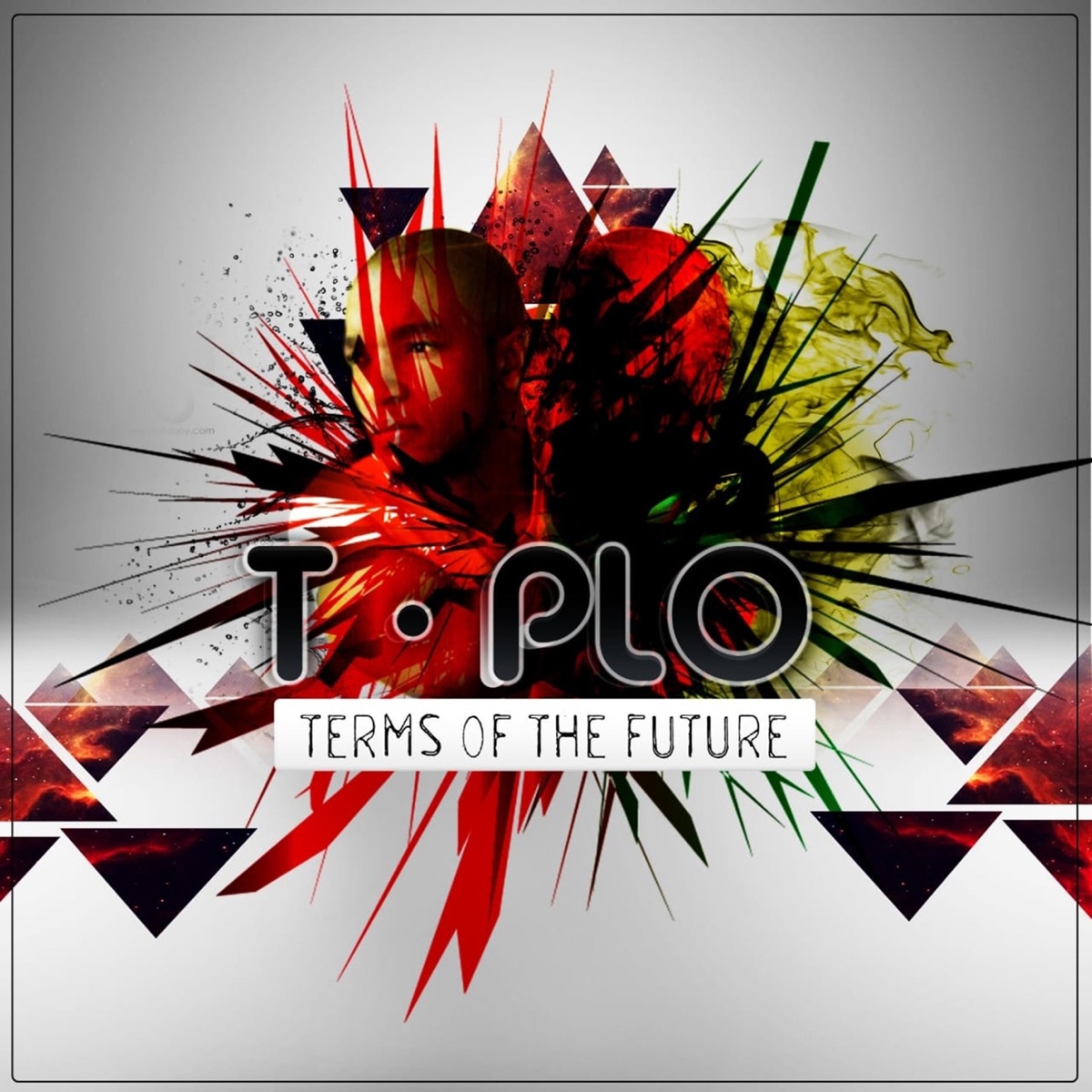 Terms Of The Future - Single by T-Plo album cover