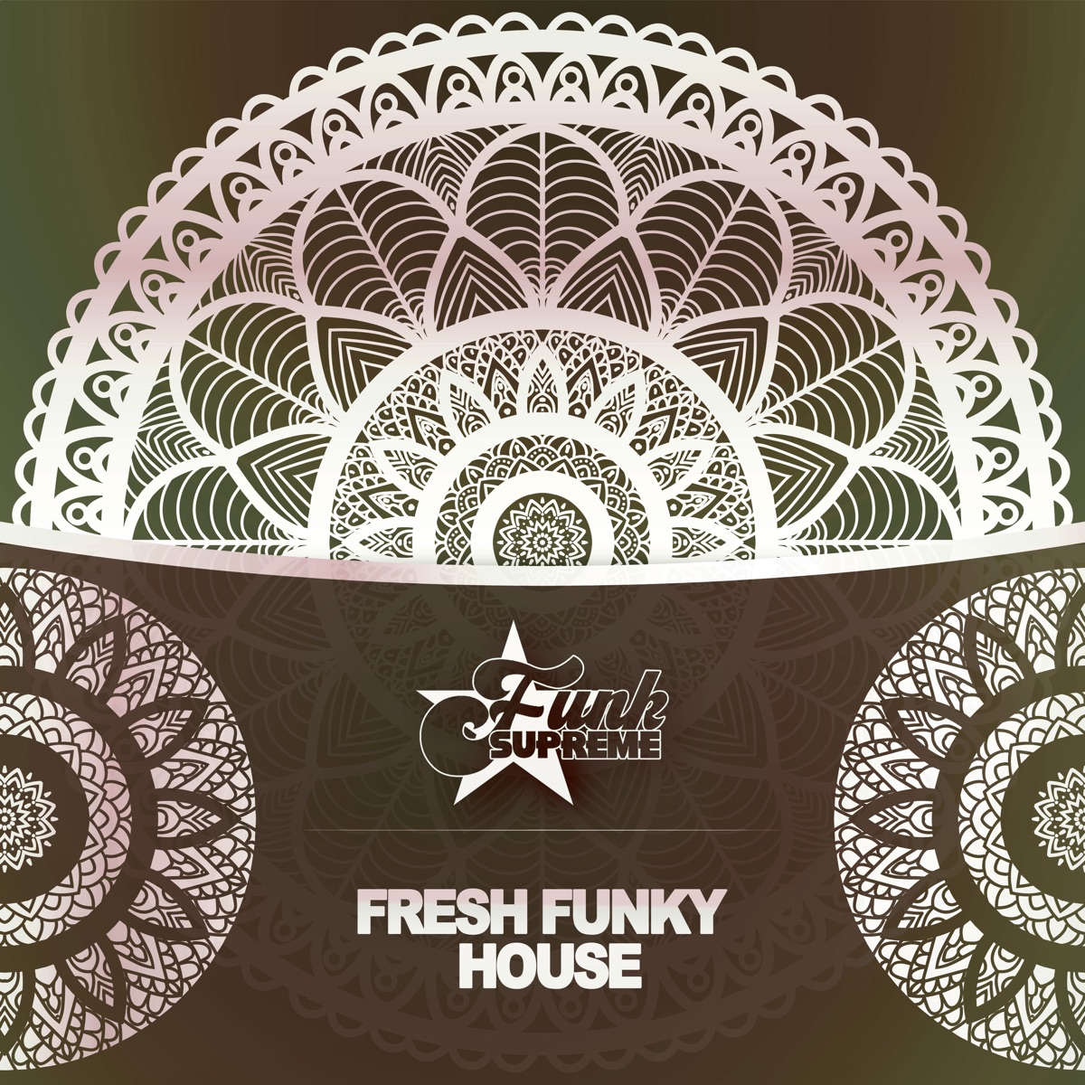 Fresh Funky House by Adri Block, Paul Parsons & Block & Crown album cover