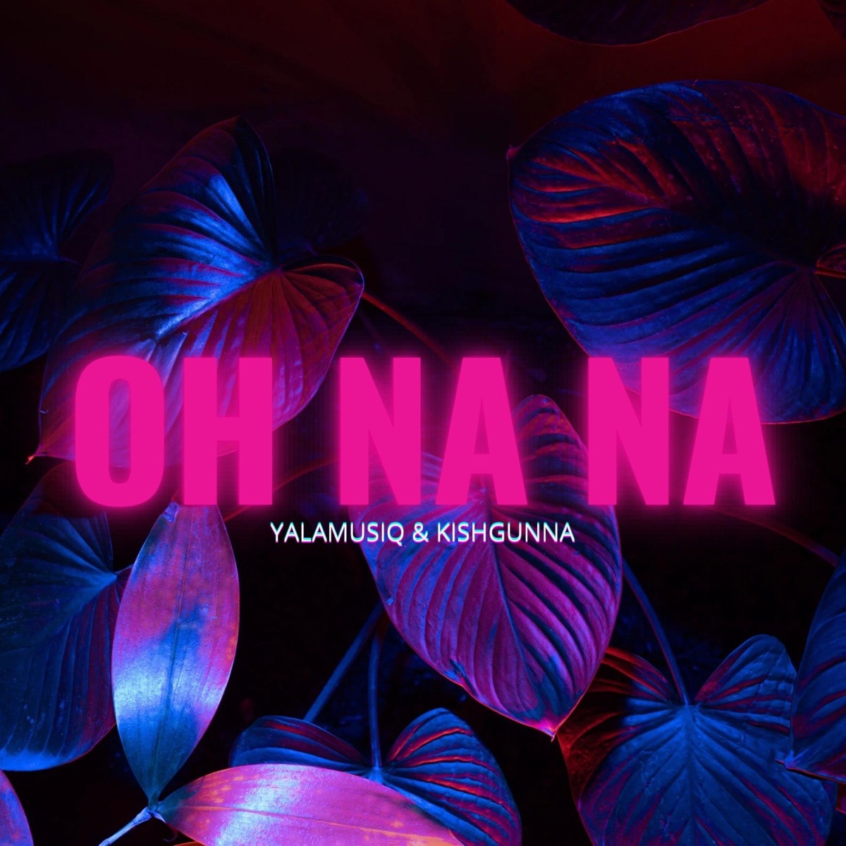 OH NA NA - Single by YalaMusiq & KishGunna album cover