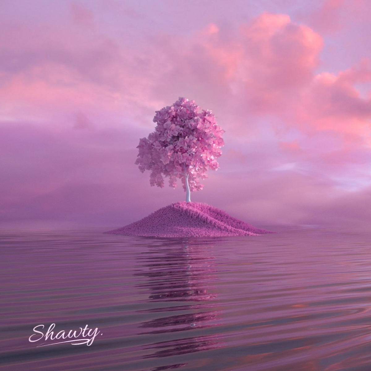 Shawty - Single by CHU BBY album cover