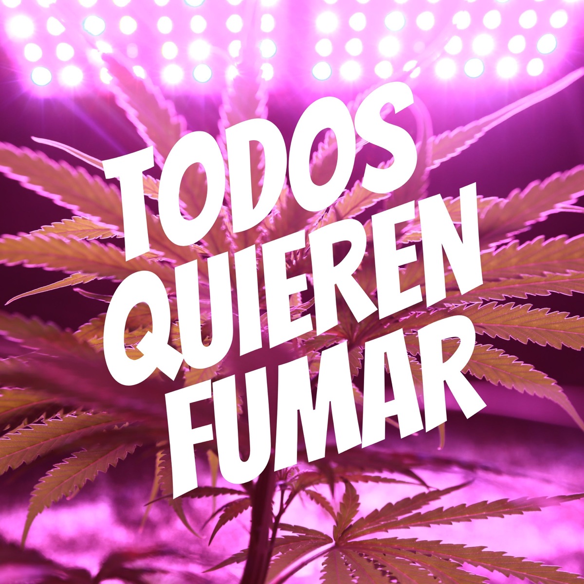 Todos Quieren Fumar (feat. Grupo Nizze) - Single by BM Legacy, Ale Mix & Legado ARM album cover