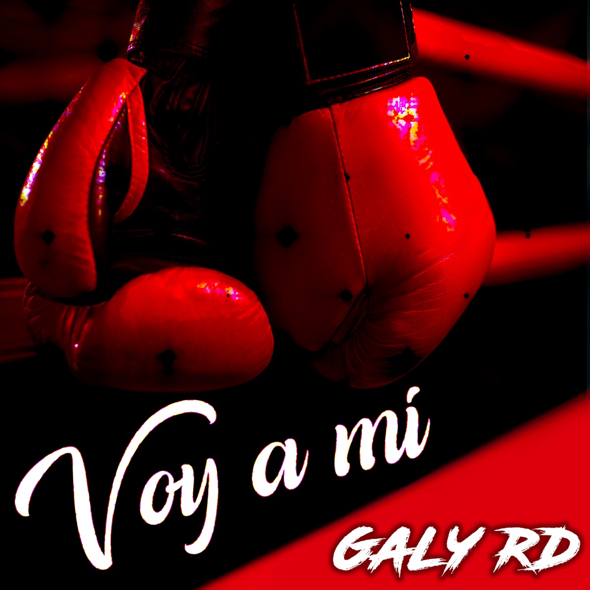 Voy A Mi - Single by Galy Rd album cover