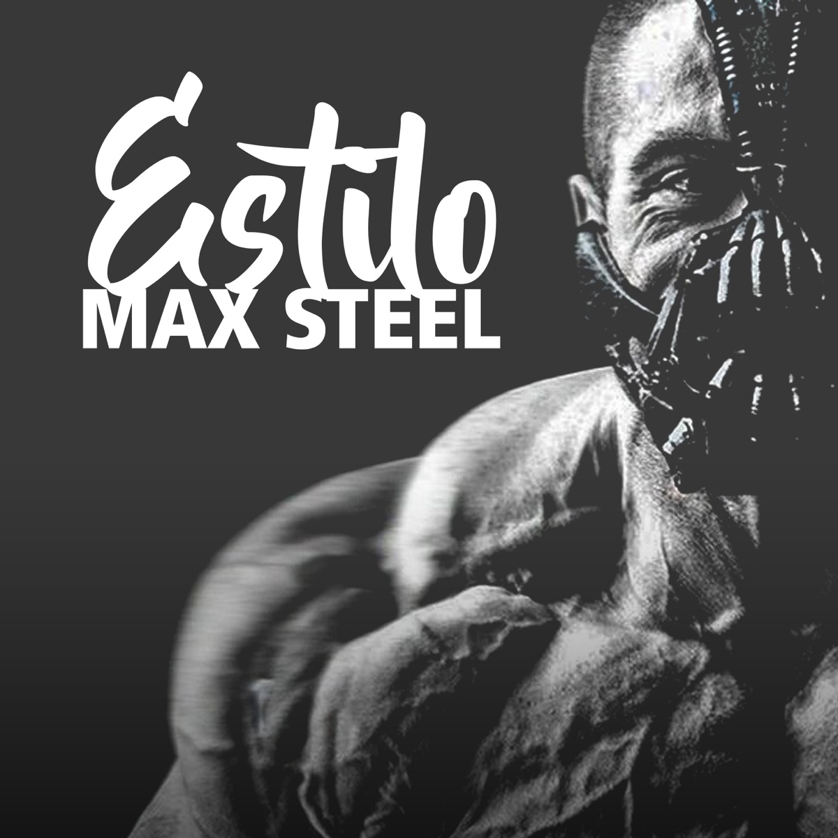 Estilo Max Steel - Single by Dub Hip Hop album cover