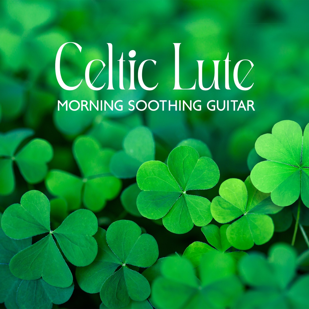 Celtic Lute: Morning Soothing Guitar & Magic Mood by World of Celtic Music, Celtic Chillout Relaxation Academy & Olivia Mood album cover
