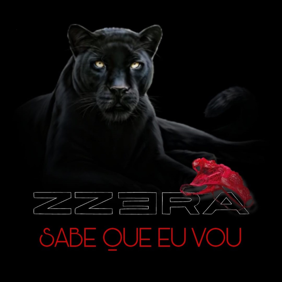 Sabe que eu vou - Single by ZZERA album cover