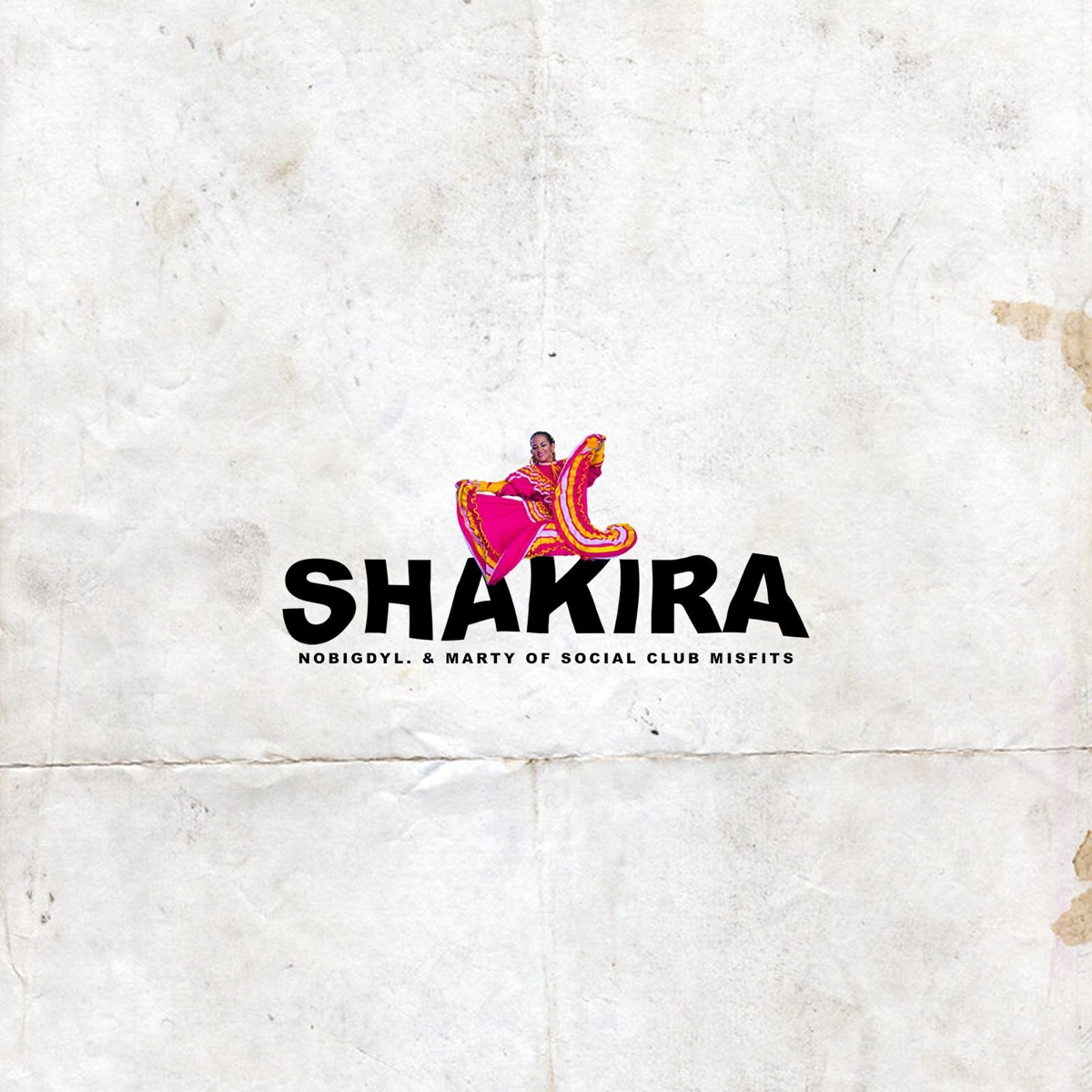 Shakira (feat. Marty) - Single by nobigdyl. album cover
