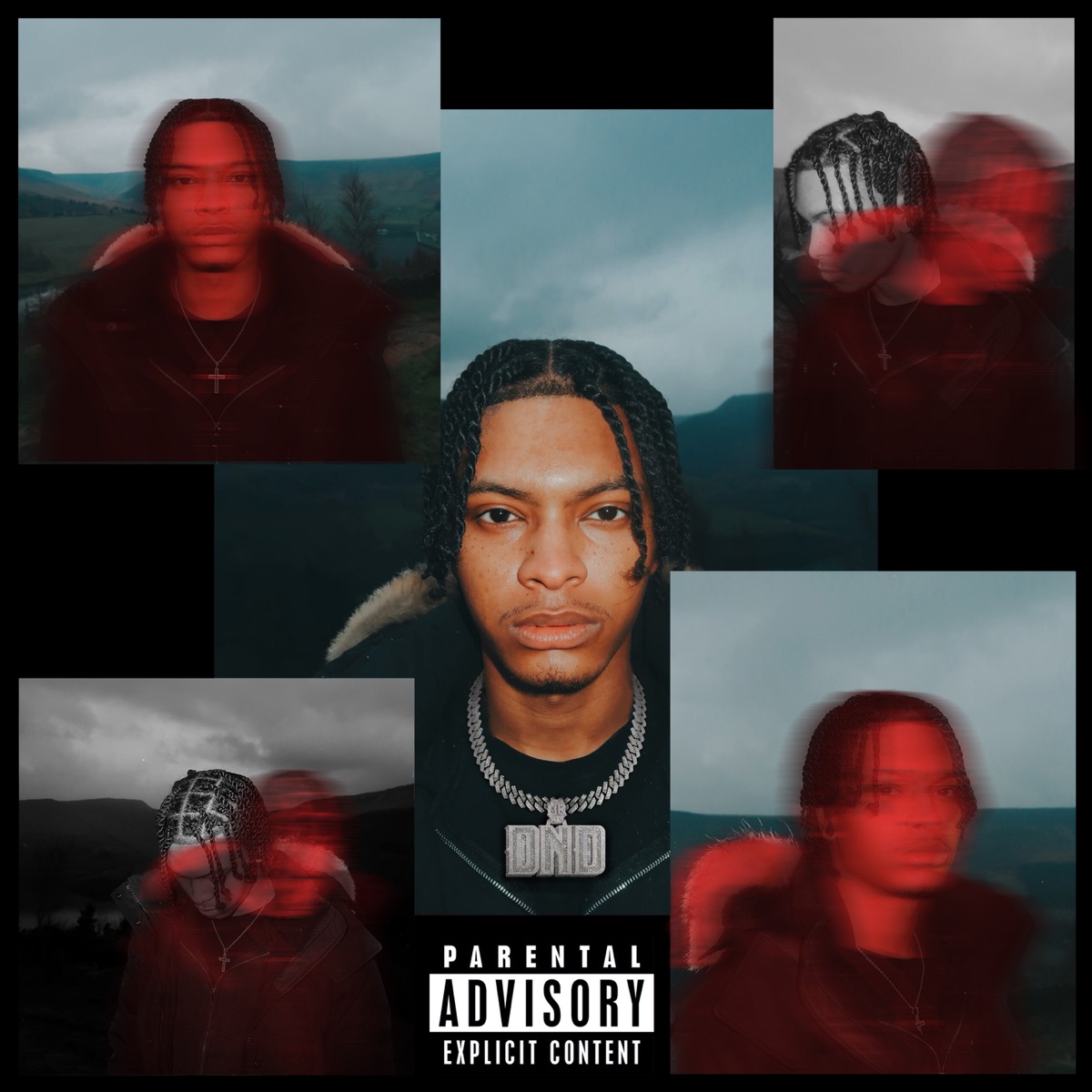DO NOT DISTURB (DELUXE) by Nemzzz album cover