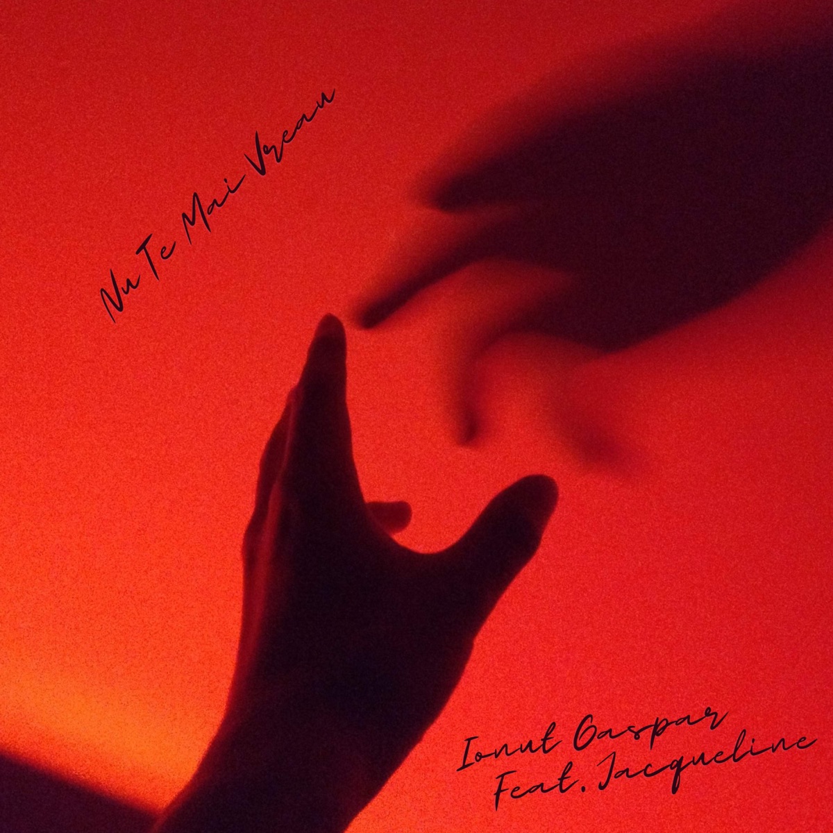 Nu Te Mai Vreau (feat. Jacqueline) - Single by Ionut Gaspar album cover