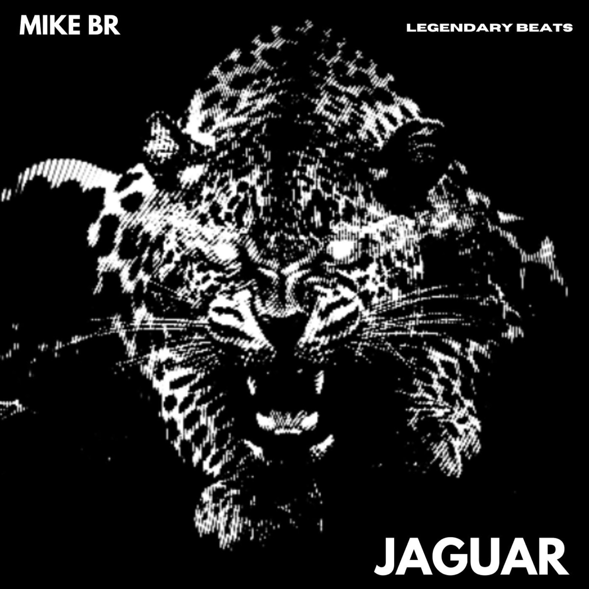 Jaguar (feat. Jenna Evans) - Single by Mike BR album cover