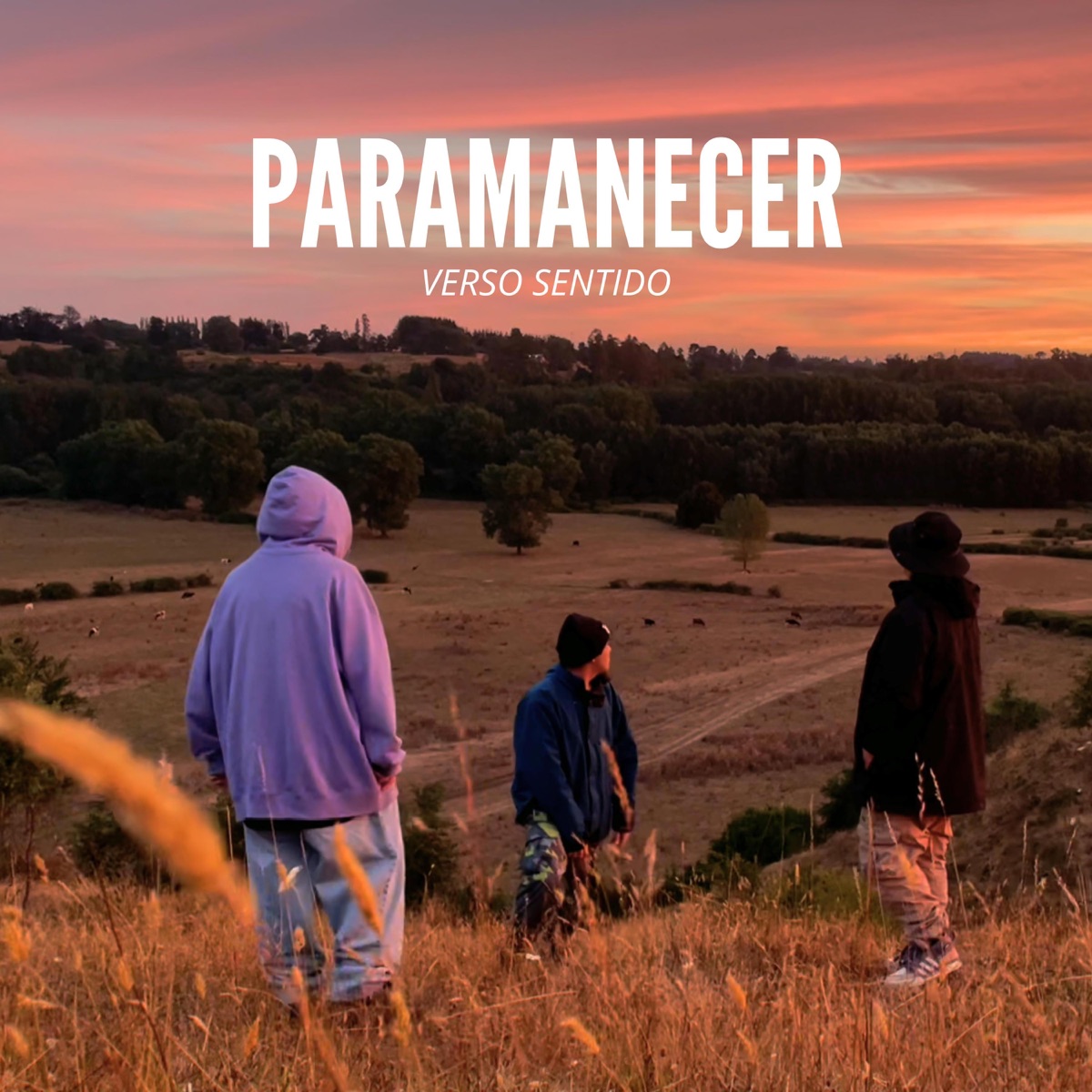 PARAMANECER (feat. Verso Sentido) - Single by Likan album cover