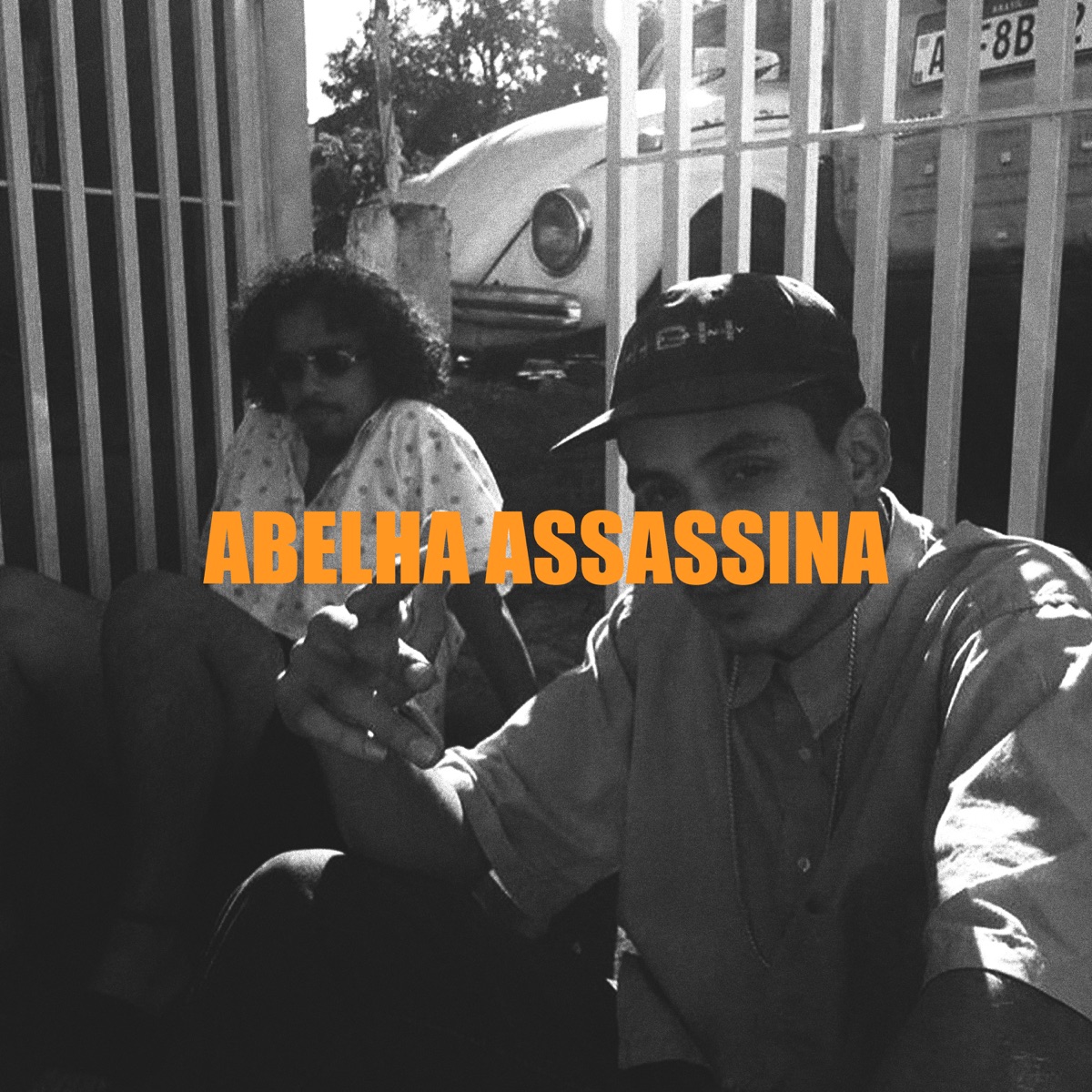 Abelha Assassina (feat. Dthirtyy) - Single by Cassol album cover