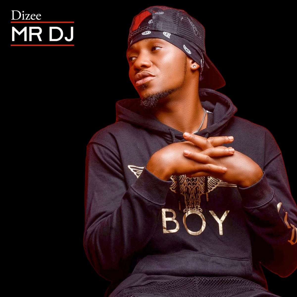 Mr Dj - Single by Dizee album cover