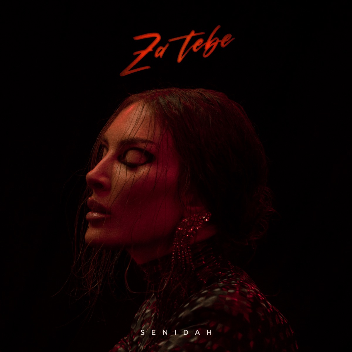 Za Tebe by SENIDAH album cover
