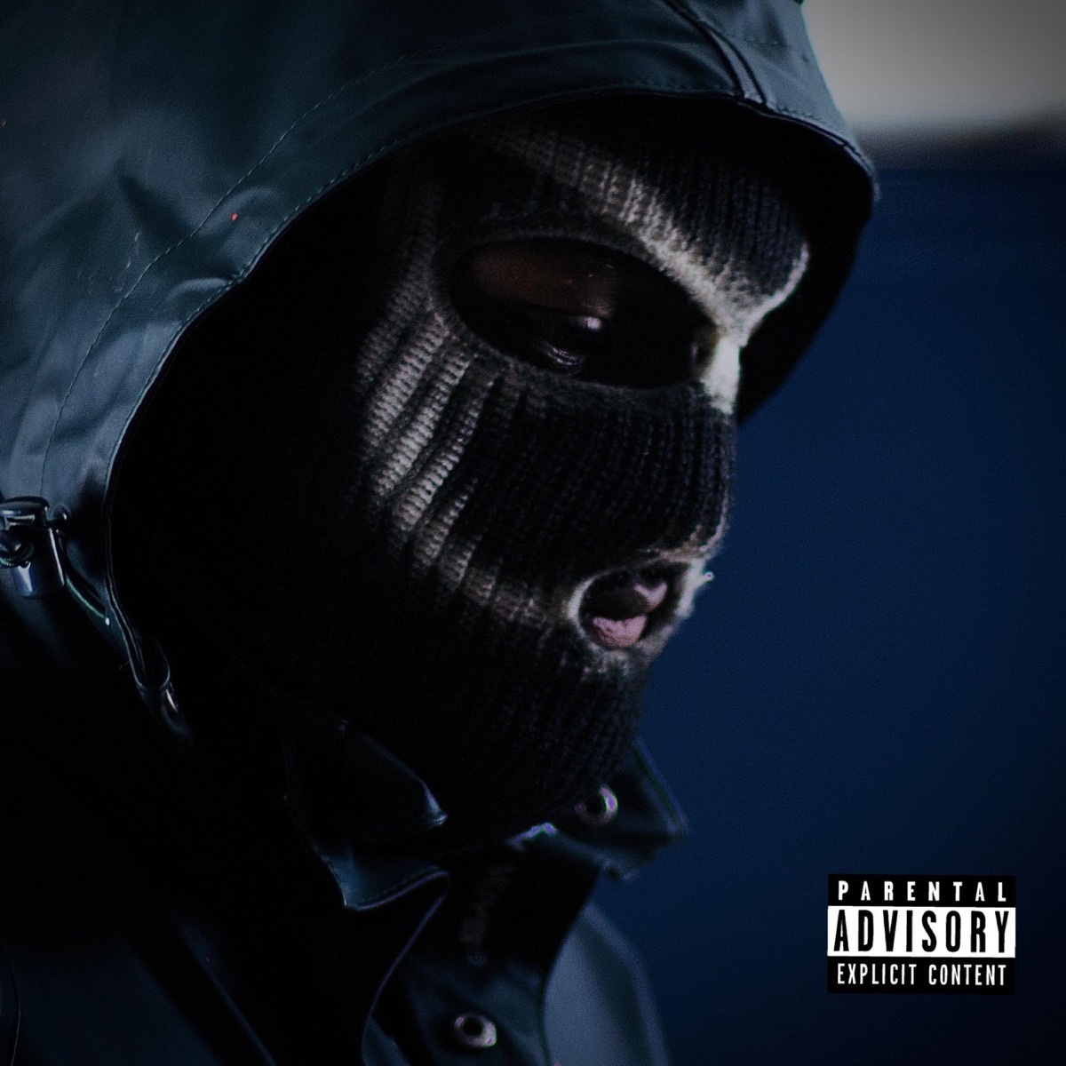 RT VVS #2 - Single by NEKI SB album cover
