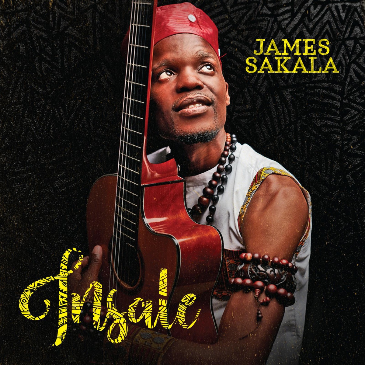 Insale by James Sakala album cover