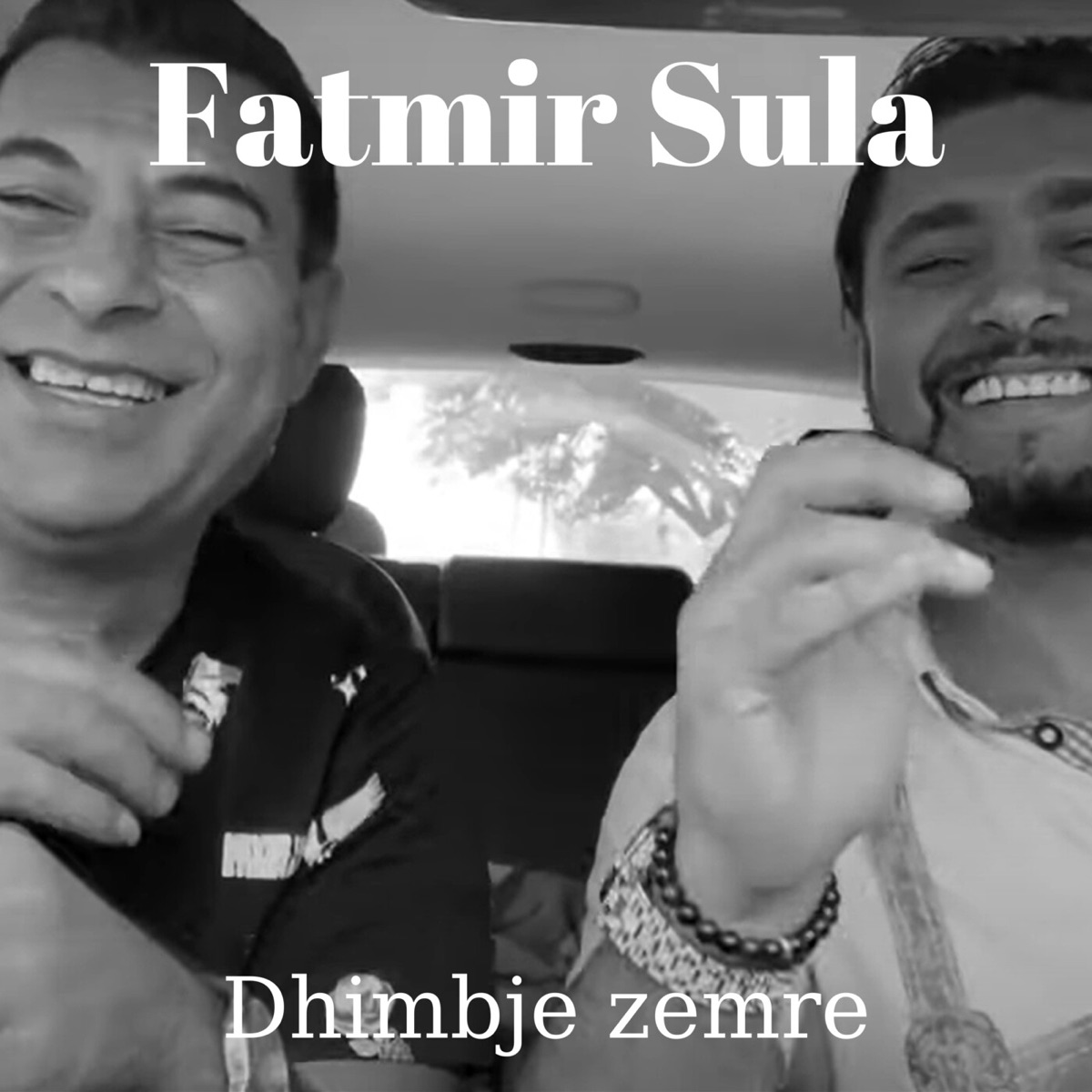 Dhimbje Zemre - Single by Fatmir Sula album cover