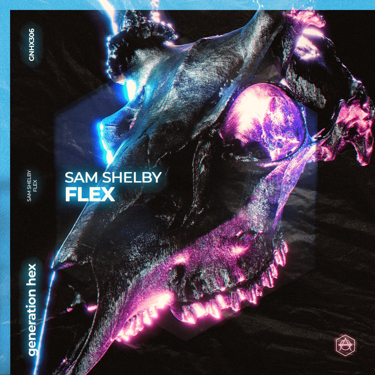 Flex - Single by Sam Shelby album cover
