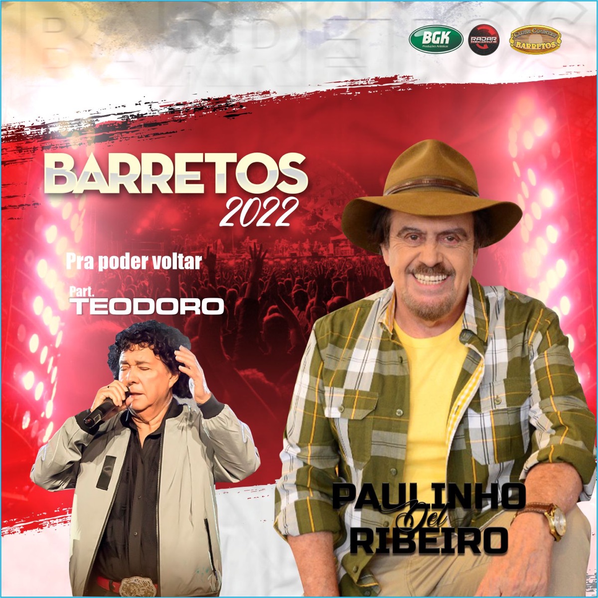 Pra Poder Voltar (feat. Teodoro) - Single by Paulinho Del Ribeiro album cover