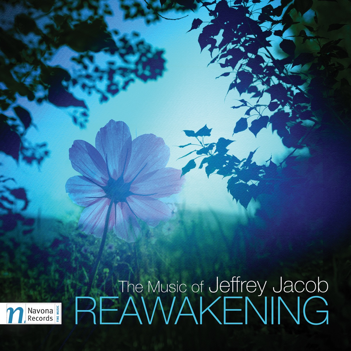 Jeffrey Jacob: Reawakening by Jeffrey Jacob album cover