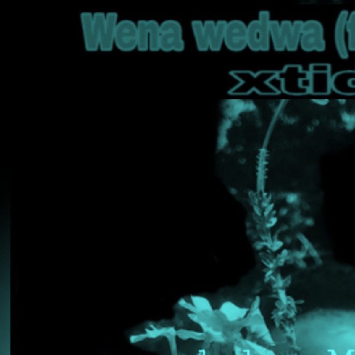 Wena wedwa (feat. Stweezy) - Single by Xtido album cover