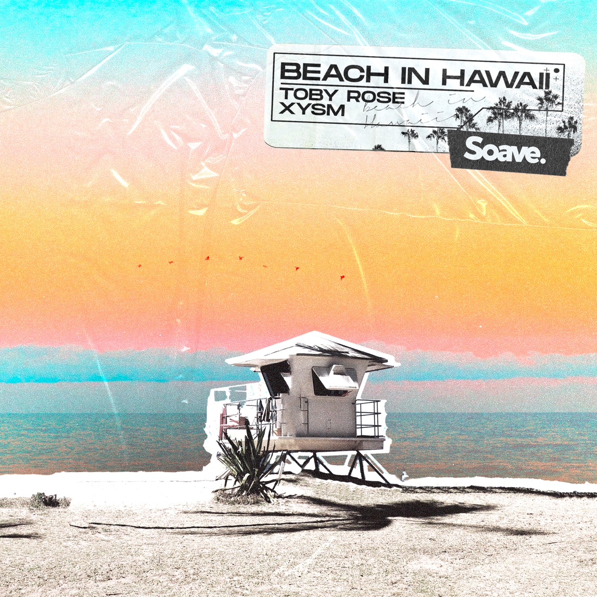 Beach In Hawaii - Single by Toby Rose & XYSM album cover
