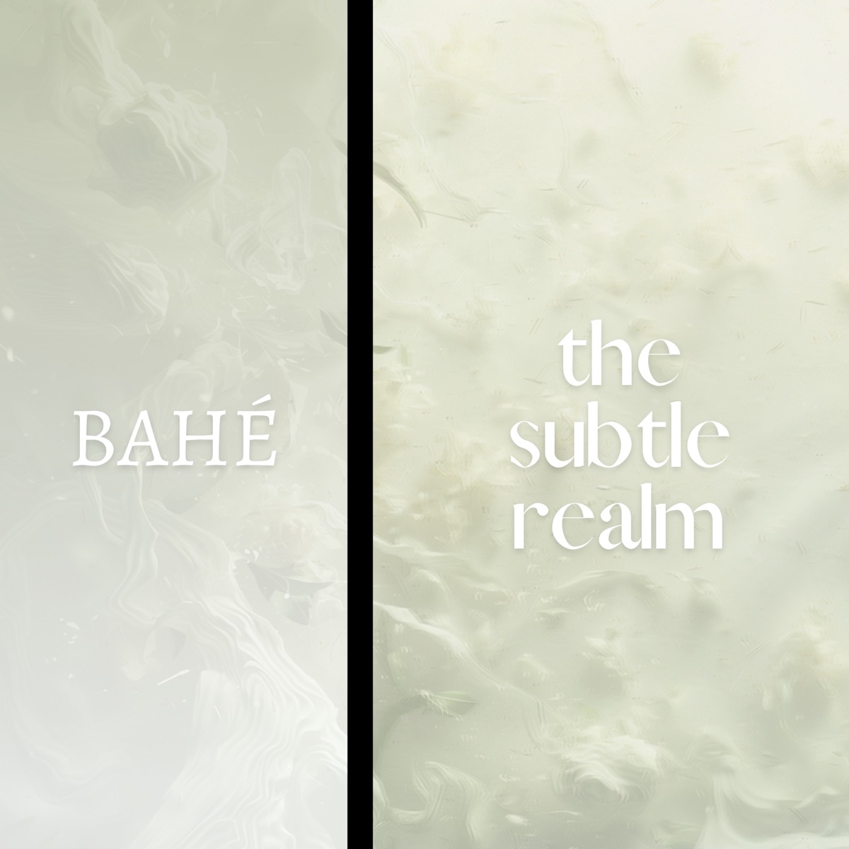 The Subtle Realm - Single by BAHÉ, ShiShi & Aditya Rao album cover