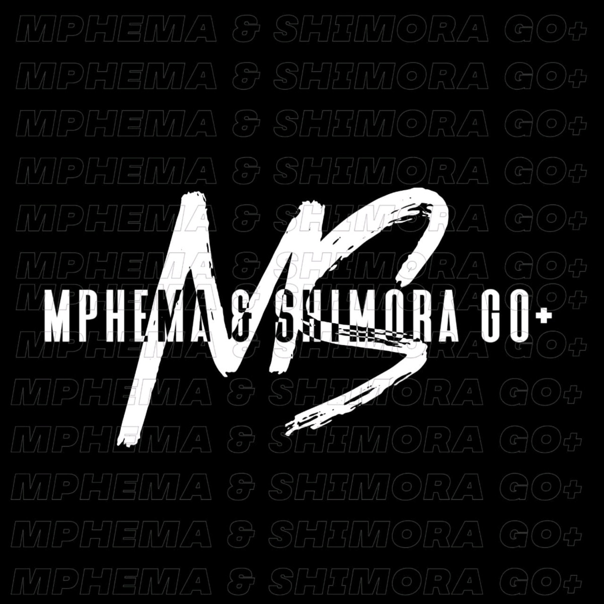 Chasing Summer - Single by Mphema & Shimora Go+ & King Khumzarh album cover
