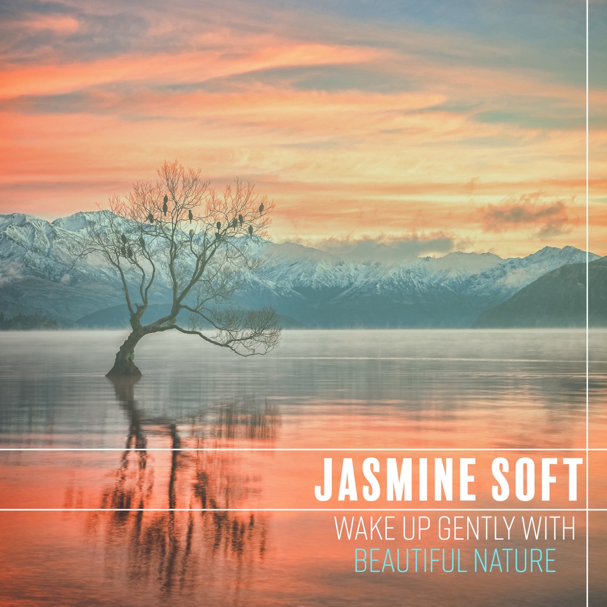 Wake Up Gently with Beautiful Nature: Good Morning Music & Singing Birds, Rain and Forest Sounds by Jasmine Soft album cover
