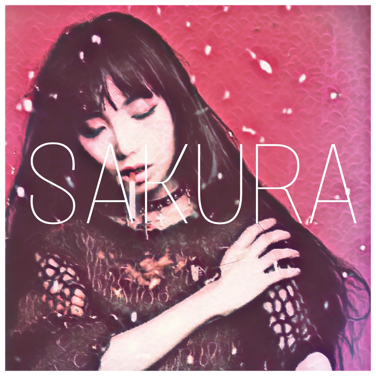 Sakura - Single by SHACHI album cover