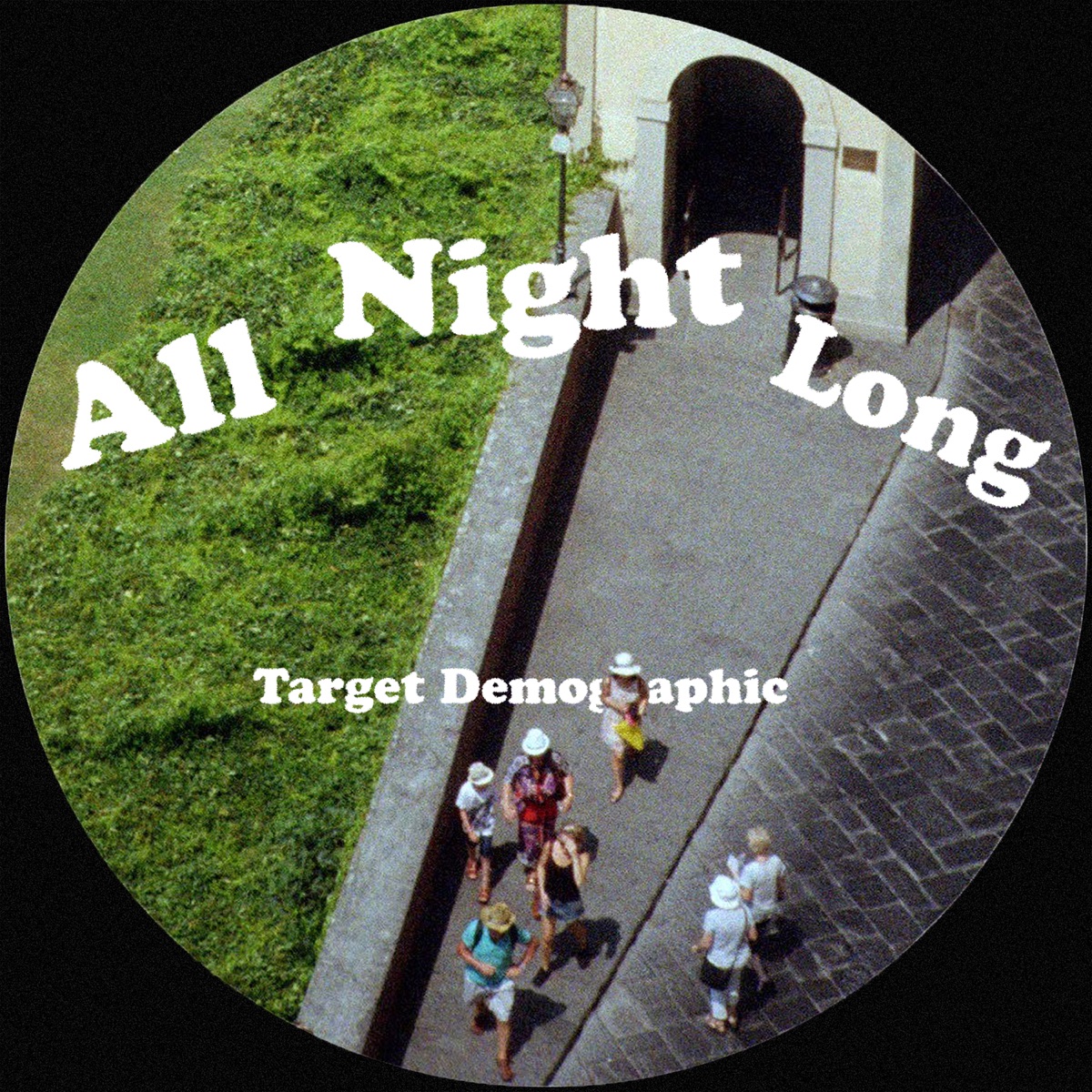 All Night Long - Single by Target Demographic album cover