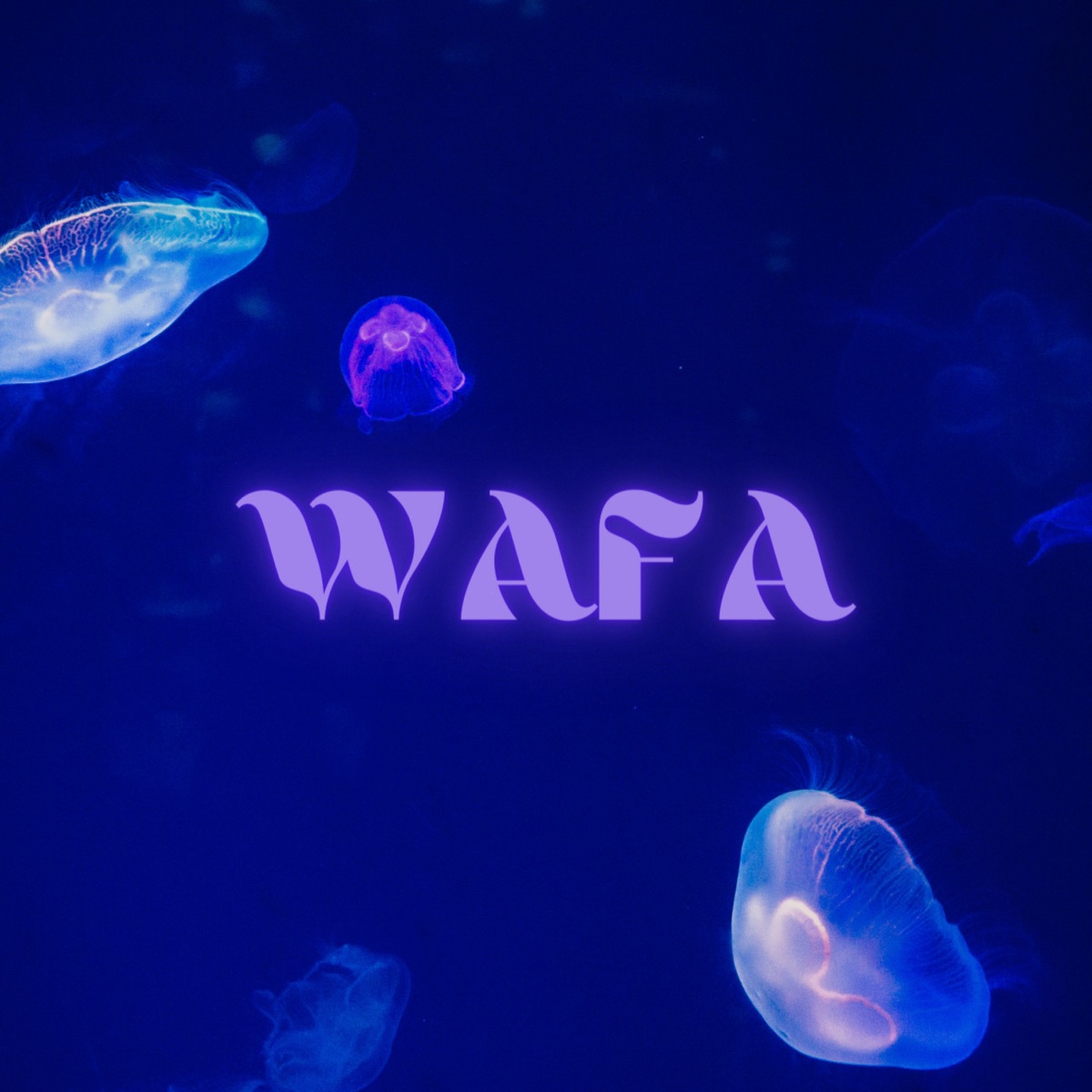 WAFA (feat. saab & Kalakaaar) - Single by Deep Harks & Akash Maggo album cover