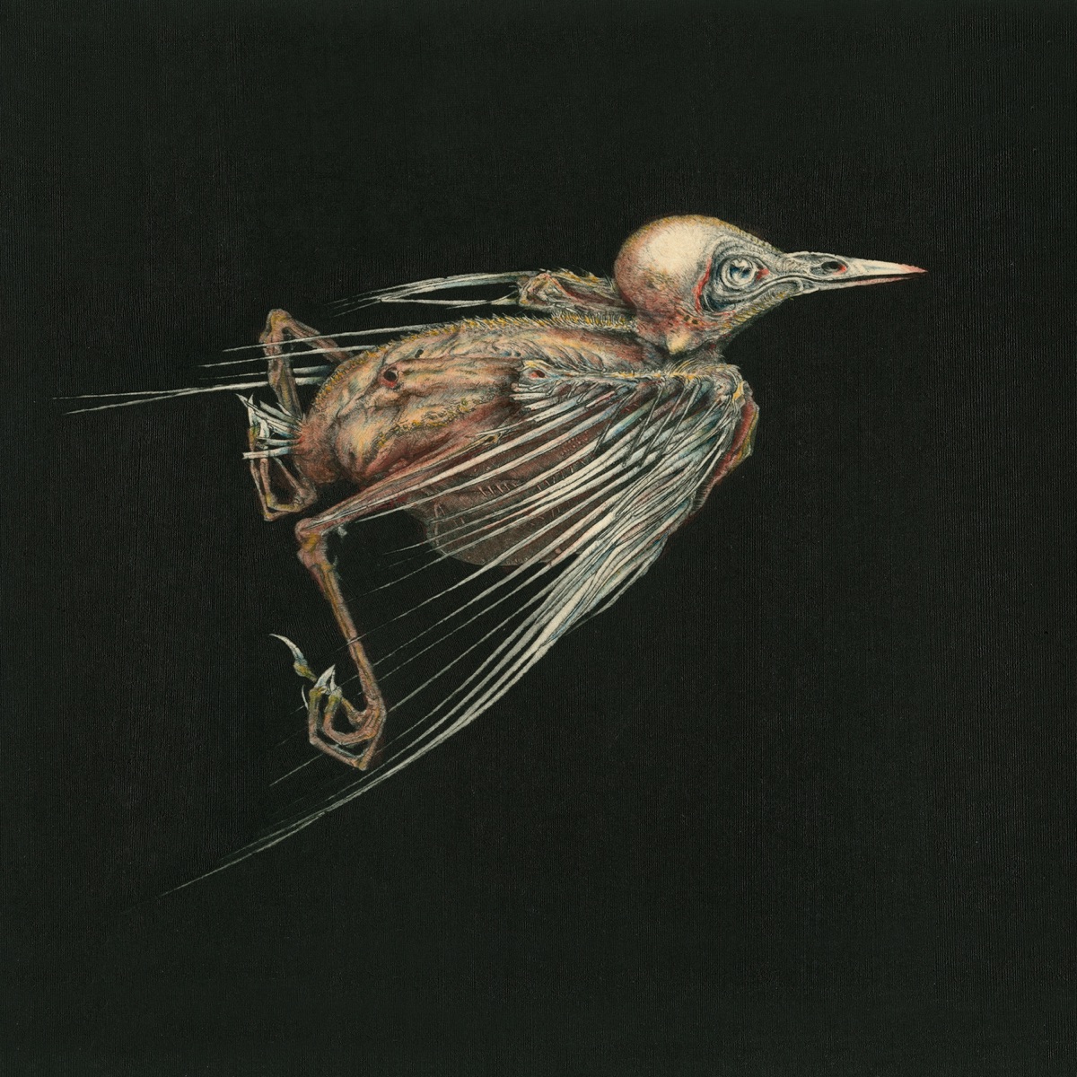 Meshes of Voice by Susanna & Jenny Hval album cover
