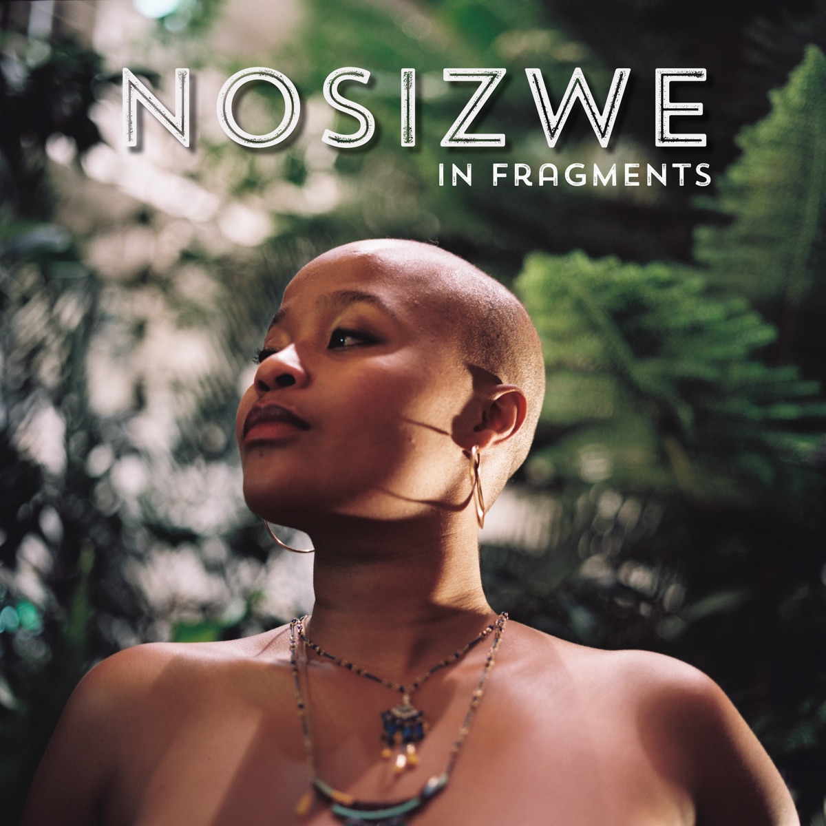In Fragments by Nosizwe album cover
