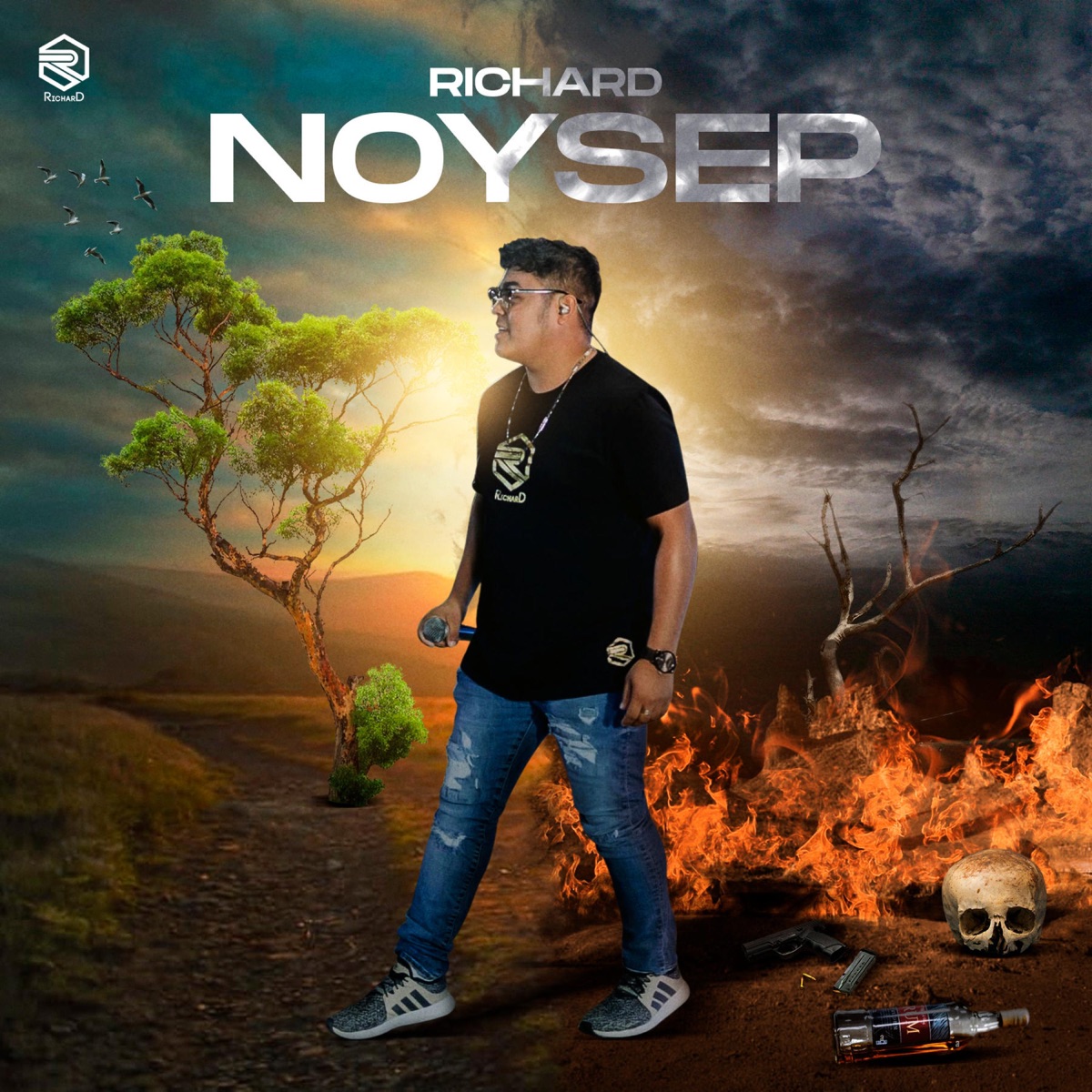 NOYSEP by Richard album cover
