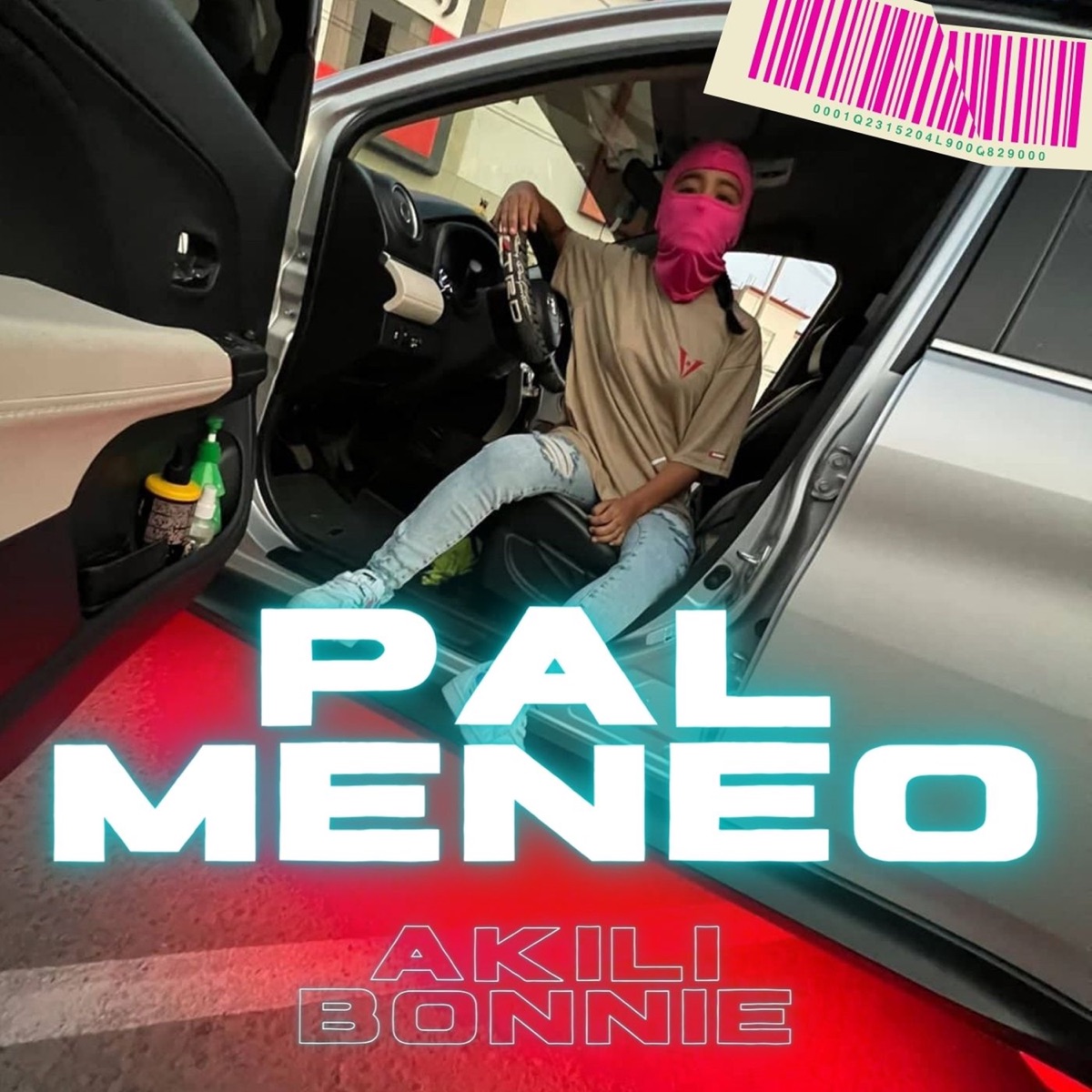 Pal Meneo - Single by akili bonnie album cover