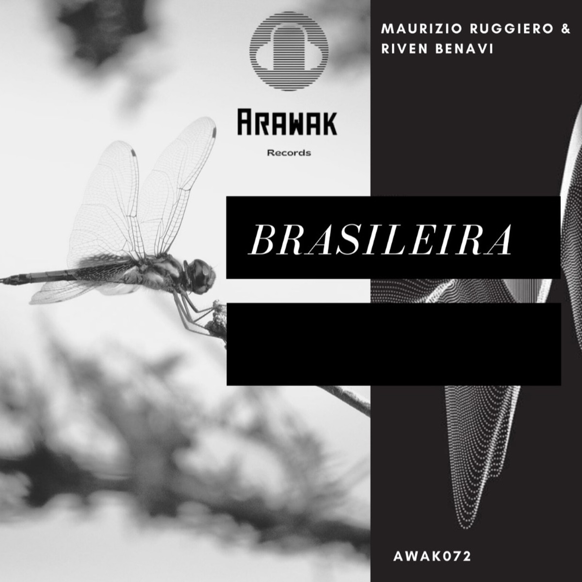 Brasileira - Single by Maurizio Ruggiero & Riven Benavi album cover