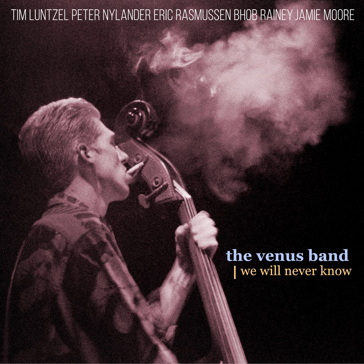 Little Pearl (feat. Tim Luntzel, Bhob Rainey, Eric Rasmussen, Peter Nylander & Jamie Moore) - Single by the venus band album cover