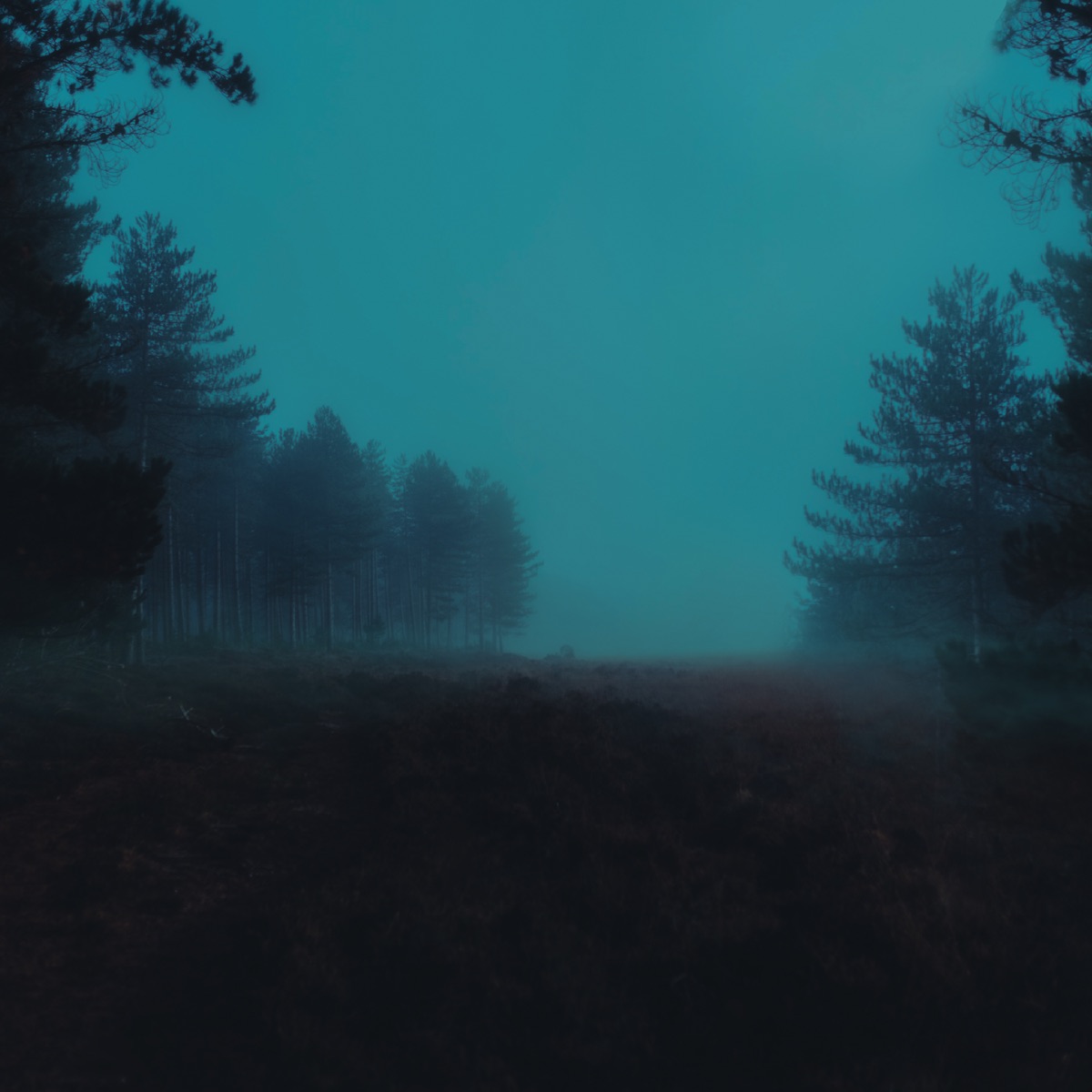 Nibiru - Single by .diedlonely & ‎hiræth album cover